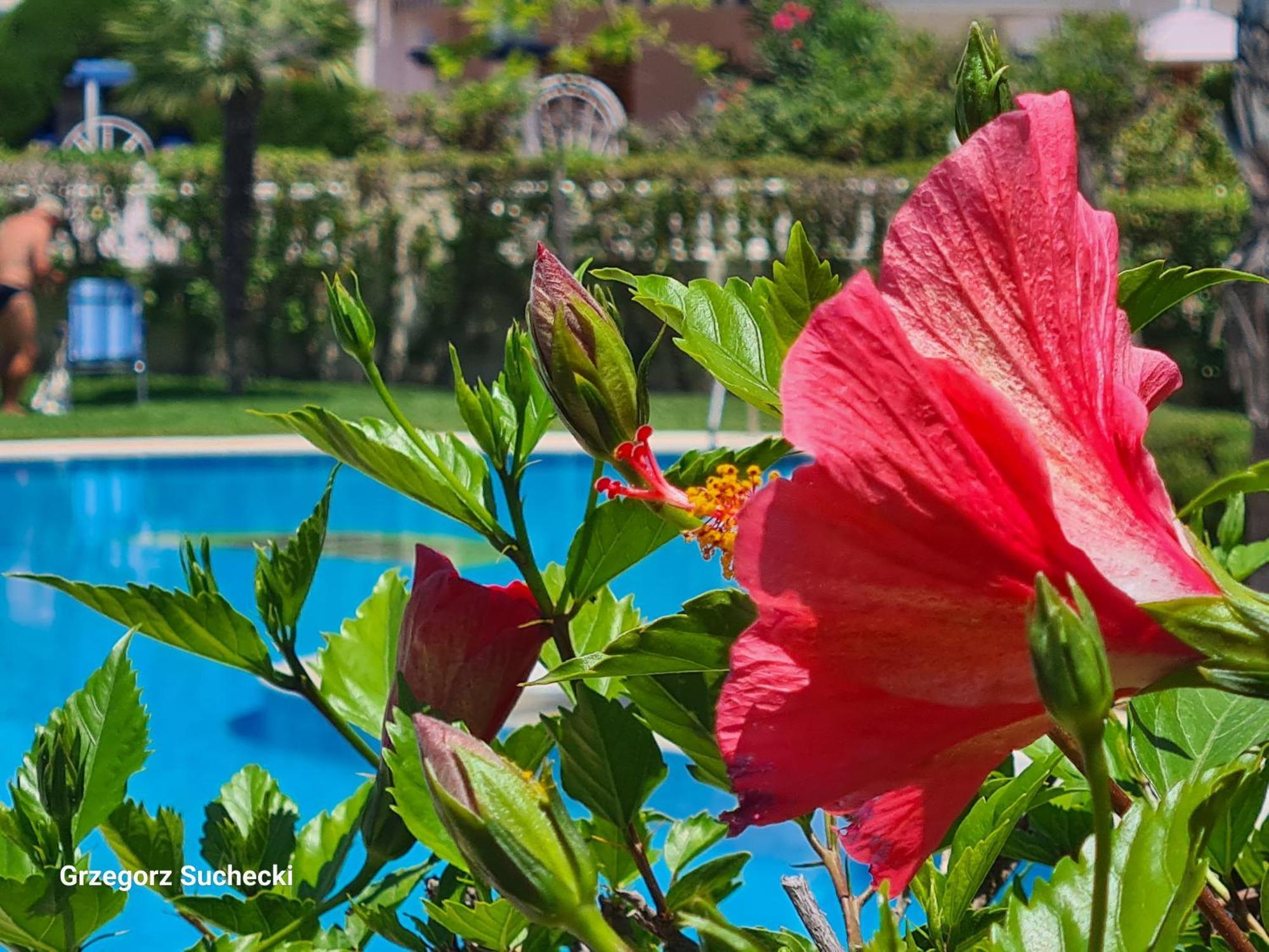 Apartamento Parquemar Apartment Ла Мата Екстериор снимка