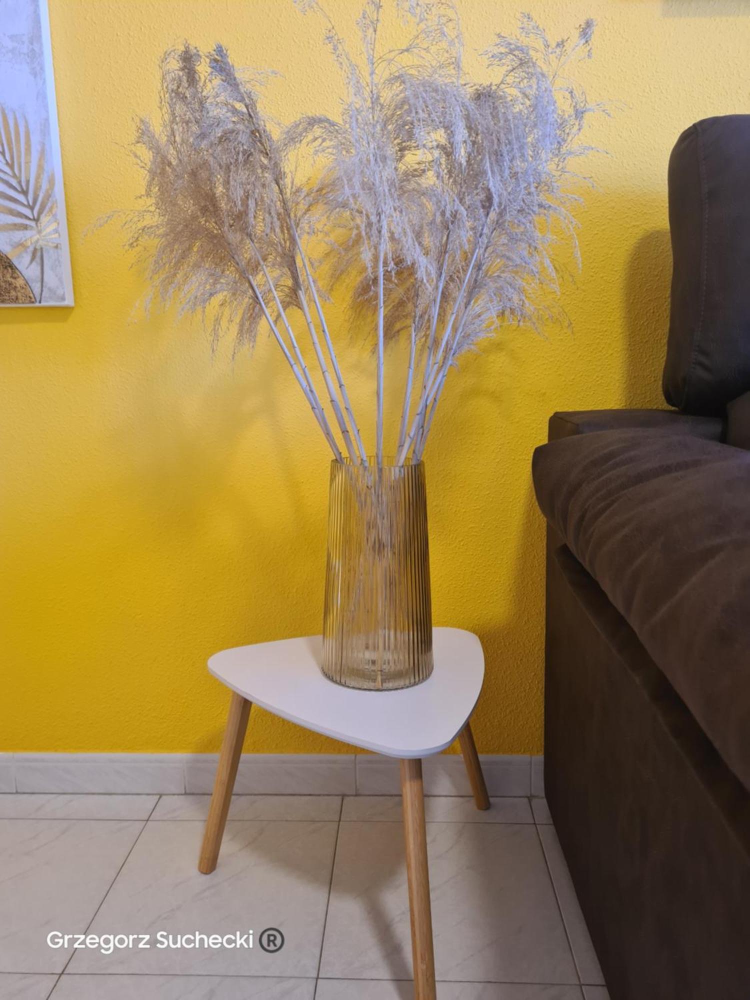 Apartamento Parquemar Apartment Ла Мата Екстериор снимка